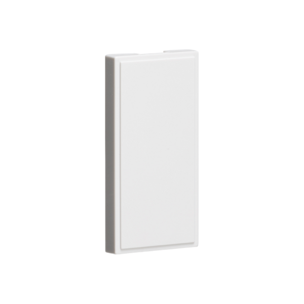 Half Blank - White - IN002 image 0