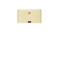Brushed Brass 45A DP Switch with Neon (2G size) - FP82MNBB image 0