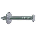 Capping Nails 2.5 x 30mm - Pack of 100 image 0