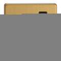 Brushed Brass 1-Gang 13A Double Pole Switched Socket XDE4B.BB image 0