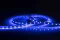 24V IP20 LED Flex Blue (3 metres) - LFL24B3M image 0