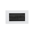 2G Brush faceplate (assembled) NETBRUSH4 image 0