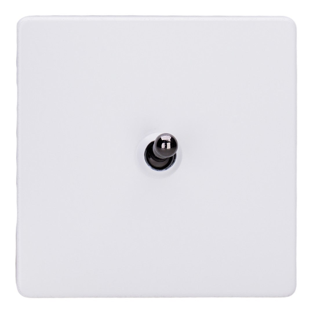 Varilight Primed 1-Gang 10A 1- or 2-Way Toggle Switch with Iridium Toggle - XDYT1IS.PD image 0