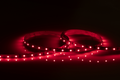 24V IP20 LED Flex Red (3 metres) - LFC24R3M image 0