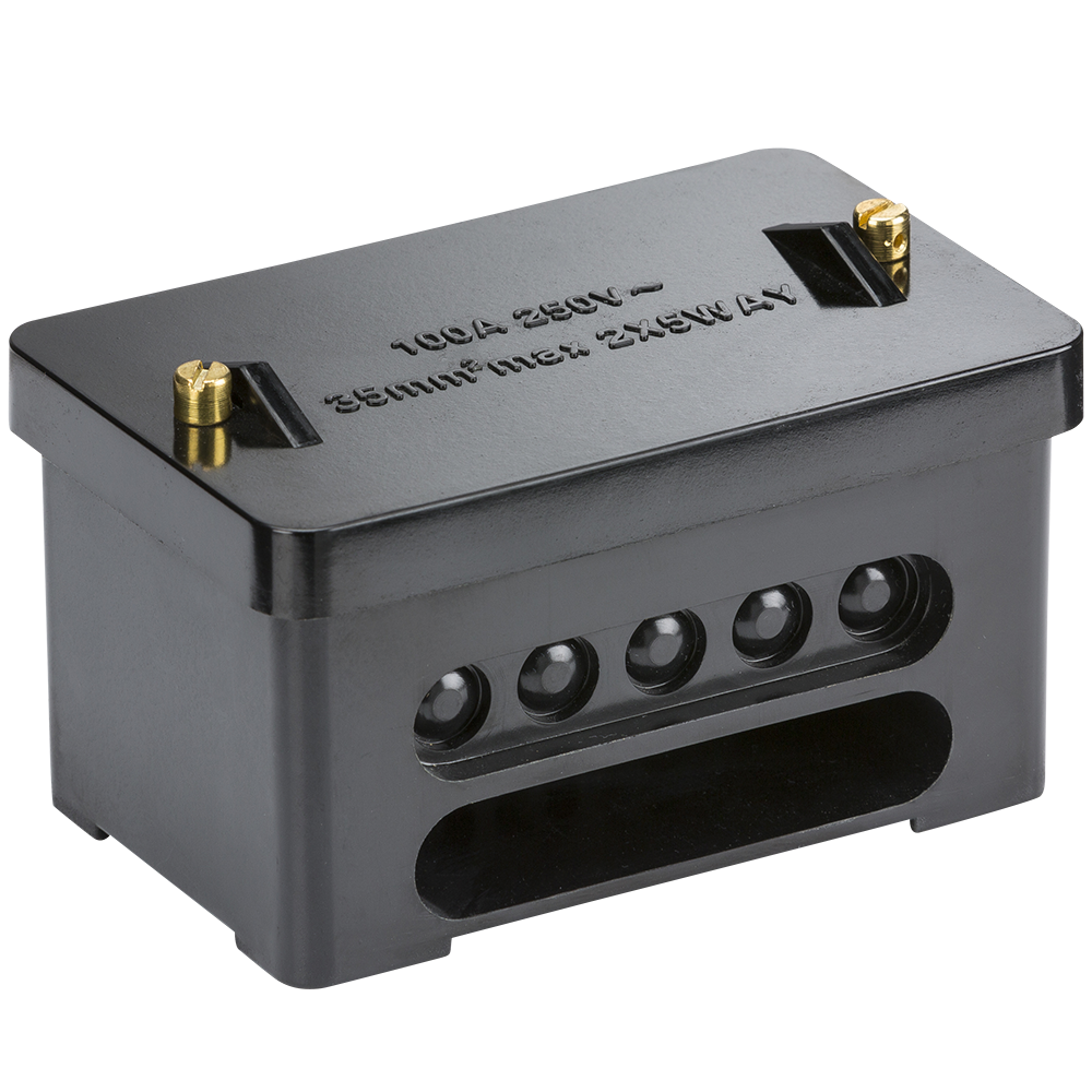 100A 2 x 5-Way (Double Pole) Service Connector Block SNEB2 image 0